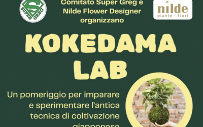 KOKEDAMA LAB